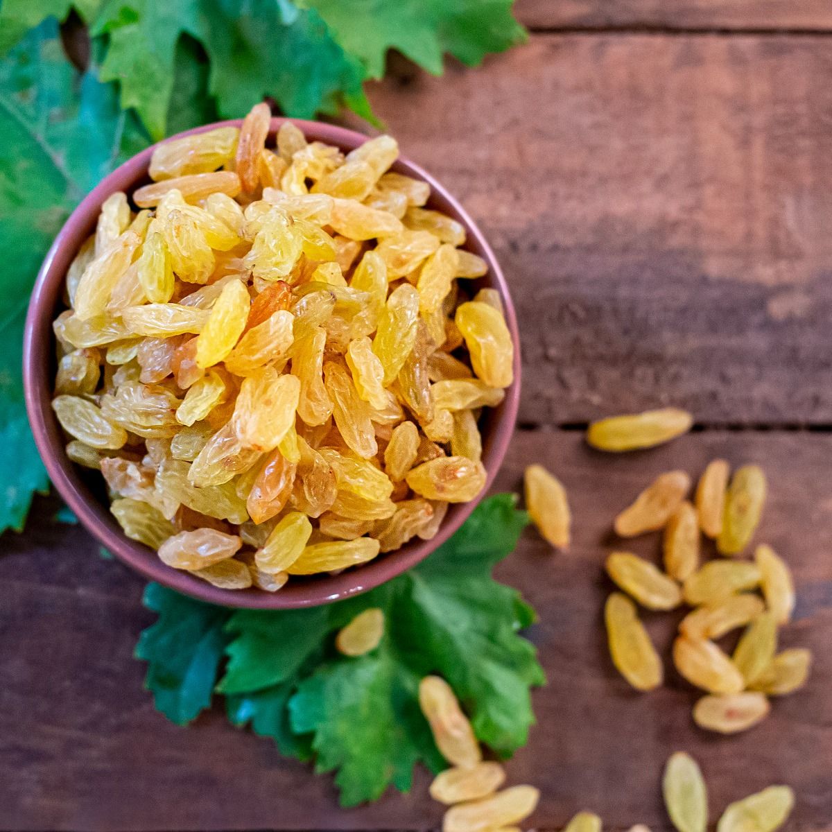 Golden Raisin Long Fancy - کشمش طلایی قلمی