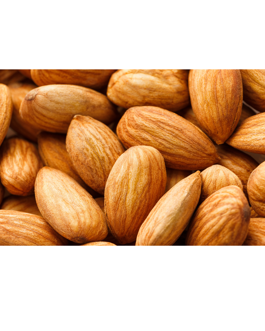 Afghan Almonds, بادام لوگری افغانستان